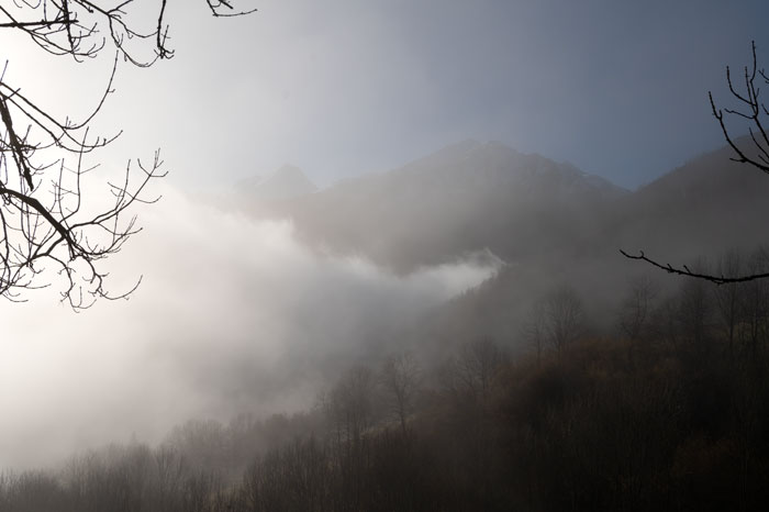 Brume sur le chemin qui monte au Pla d'Adet
