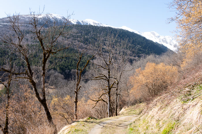 Chemin de randonnée vers le cap de Pède