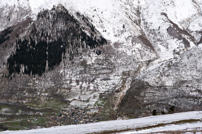 Forêt des Pyrénées en hiver