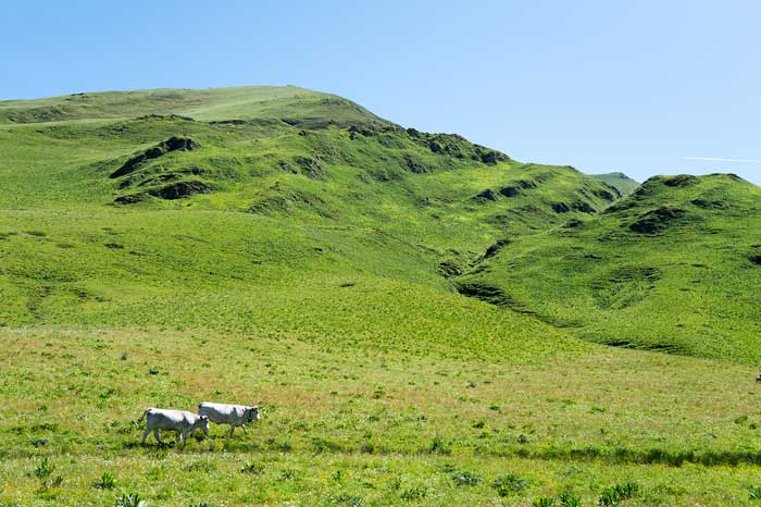 Randonnée au Soum de l'Escalette à partir d'Hospice de France