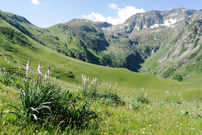 Vallée de la Pique