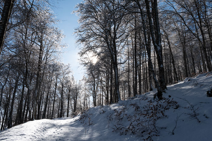 Visite des Pyrénées